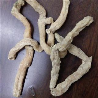 精选湖南大玉竹个子 根条匀称