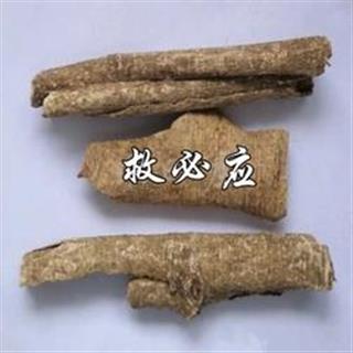 祁香药苑正品中药材 精选救必应 白银树皮 白木香 铁冬青