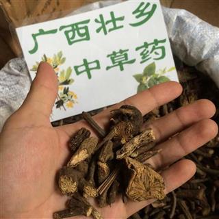 广西壮乡中草药野生金钥匙金锁匙金线风百两金八爪金龙山豆根铁雨伞