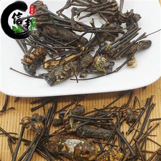 中药材花蜘蛛蜘蛛药用结蛛金蛛冷背中药材500g起售专注品质,诚信信邦!