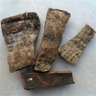 芝春堂 救必应 正品 薄皮 白银树皮 九层皮 白兰香 熊胆木 正品 厚皮