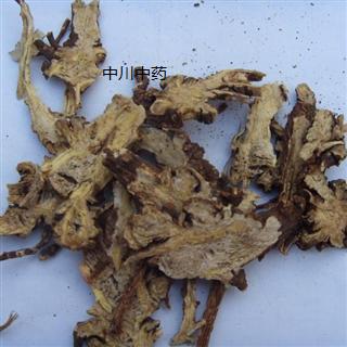 藁本 新疆野生一级统片 库存5000可售
