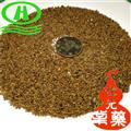 世元药业 菟丝子  吐丝子  豆寄生 豆阎王 黄丝藤 金丝藤