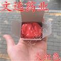 朱砂 水飞朱砂 红色 风水,镇宅,辟邪,驱鬼,开光,点睛必备,招财 产地 湖南省湘潭市市辖区