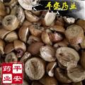 平安药业 川楝子 别称 金铃子 川楝实