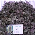 马蹄草，积雪草 统货 产地 四川省成都市双流县