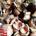 大腹皮  软壳槟榔壳  大腹毛 茯毛
