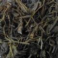 京辉药业 马尾连 马尾莲 金丝马尾连 正品 优质 促销
