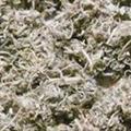 灵吉药业  茵陈  绵茵陈,新货干品, 批发各种规格名贵药材 中草药 花茶 矿石 籽粒仁 冷背药材