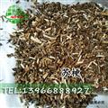 紫苏梗 紫苏梗 统货 产地 安徽省 买好药找娟子