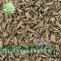南五加 五加皮  统货 产地 甘肃省  娟子中药