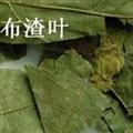 灵吉药业  布渣叶 蓑衣子 破布叶 麻布叶 烂布渣 道地药材 货真价实