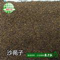  娟子中药 沙苑子 沙苑子新货统货 产地 陕西省汉中市