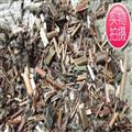 豨莶草 选片 产地 河南省南阳市