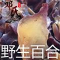 百合 云南野生百合 中统片 产地 云南省楚雄彝族自治州南华县 邓氏中药行