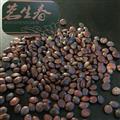 95%酸枣仁 茗生春药材总公司 一手货源 数量有限，售完下架
