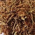 吉康药业龙胆草 南龙胆 水洗去芦头选 