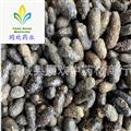 【好五灵脂米】@【同欢药材】中药材批发供应  规格齐全 量大从优  产地 山西省