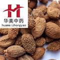 砂仁@【华美中药】中药材批发供应【砂仁】