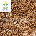 【好统货远志】@【同欢药材】中药材批发供应 规格齐全 量大从优 产地 山西省