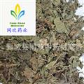 【新货紫苏叶】@【同欢药材】中药材批发供应  规格齐全 量大从优  产地 山东省