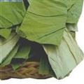 荷叶 荷叶中方片 新货上市 颜色新鲜 产地 山东省
