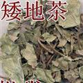 灵吉药业  矮地茶  平地木  老勿大 不出林 叶底珠  地道药材 货真价实  批发各种规格中药材  花茶  矿石 野生冷背中药材等