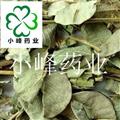 金钱草 大金钱草 新货 颜色好 无虫蛀 产地 广东省