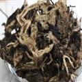 升麻 新货 颜色好 选货  产地 黑龙江省