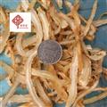 当归 当归选大尾片 产地 甘肃省 国药堂 专注品质