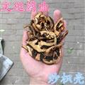 枳壳 精选 炒枳壳 大枳壳 厚 产地 湖南省