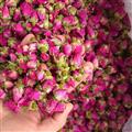 玫瑰花 山东平阴玫瑰  无硫磺玫瑰 产地 山东省