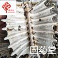 鳖甲 新货 净货 纯干货 量大从优 产地直销 产地 山东省