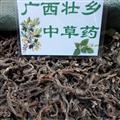 广西壮乡中草药 纯野生 正品 无掺假 药效好 石菖蒲 个子 产地 广西柳州