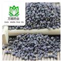 冬葵子净货选货 新货颜色好 质量好价格低 规格齐全 产地 山东省