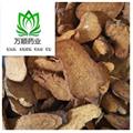 精品河北炒白术好统货 质量好 价格低  产地直销 产地 河北省
