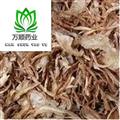 精品低硫当归中统片 质量好 价格低 产地直销  产地 甘肃省