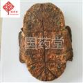 龟板 制龟板 统 国药堂 专注品质 产地 广东省