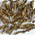 黄连 黄连单枝 新货 黄茬口 关书药业  产地 重庆市