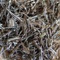 安祁名药中药材猪毛菜 扎蓬棵 刺蓬