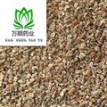 蛇床子 蛇床子净货统货 质量好 价格低  产地 山东省