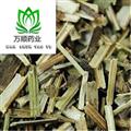 泽兰 泽兰新货选货 质量好 价格低  产地 山东省