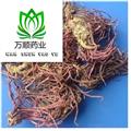 水洗紫菀个子选货 质量好 价格低 产地 安徽省