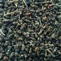 吴茱萸 精品吴茱萸中花 新货上市 选货 假一赔十 产地 浙江省