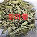 甜叶菊 产地直销甜叶菊颜色青好统货 产地 黑龙江省