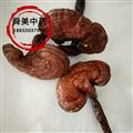 木灵芝 统货 产地 吉林省