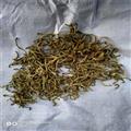 康源堂供应甜瓜蒂 苦丁香甜瓜蒂 甜瓜蒂苦丁香