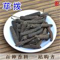 香料大全 荜拨 毕波 毕勃 荜茇 荜菝 比波 碧波 毕拨荜拔调料