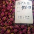 牡丹珠 牡丹花