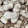 浙贝母 大贝母片 纯无硫 正品浙江过过0,3筛  包质检 大片 产地 浙江省杭州市市辖区